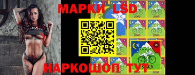 молекула духа Тверь
