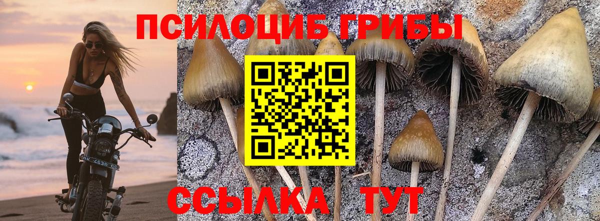 Псилоцибиновые грибы GOLDEN TEACHER  купить наркоту  Наро-Фоминск  Вход с VPN 